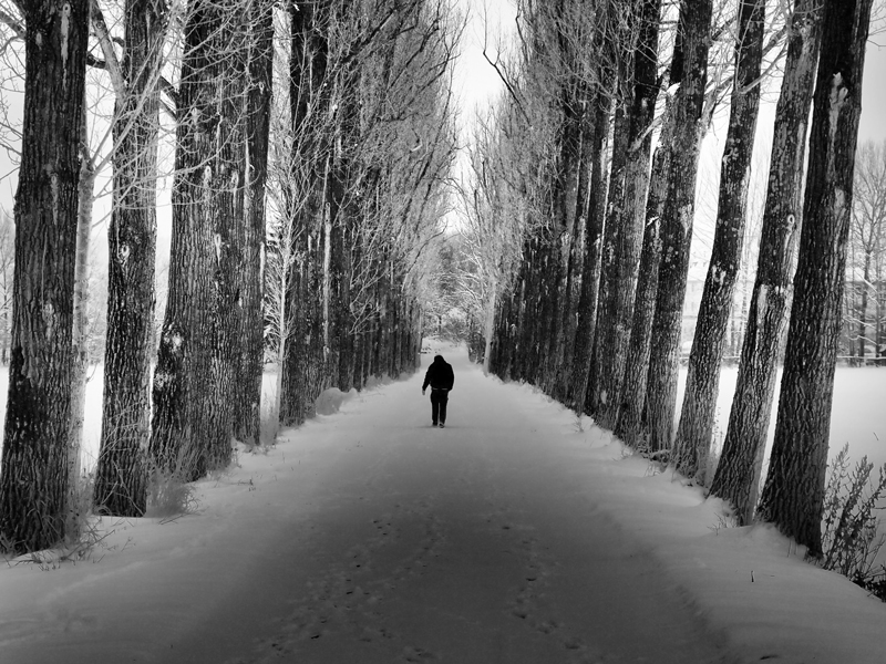 Spuren im Schnee