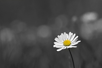 colorkey ;)